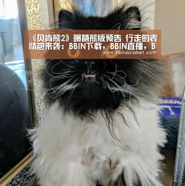 《贝肯熊2》曝萌熊版预告 行走的表情包来袭:BBIN下载,BBIN直播,BBIN视讯,BBIN官网(图2) BBIN下载,BBIN直播,BBIN视讯,BBIN官网