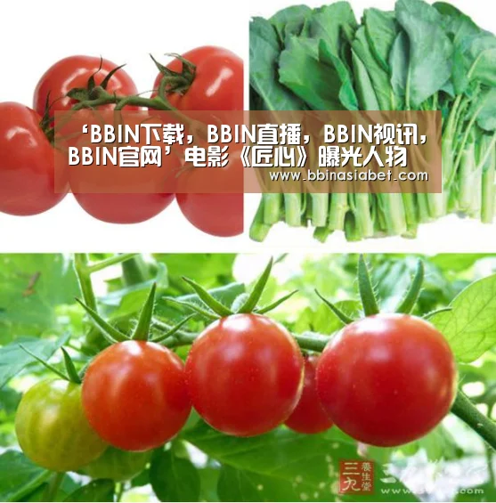 ‘BBIN下载,BBIN直播,BBIN视讯,BBIN官网’电影《匠心》曝光人物关系海报 角色纠葛直抵人心(图4) BBIN下载,BBIN直播,BBIN视讯,BBIN官网