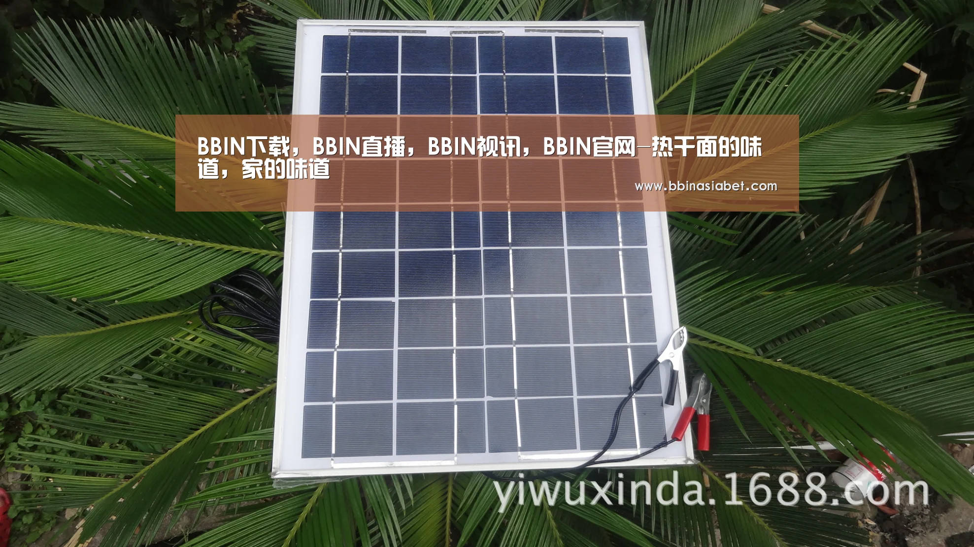 BBIN下载,BBIN直播,BBIN视讯,BBIN官网-热干面的味道,家的味道(图1) BBIN下载,BBIN直播,BBIN视讯,BBIN官网